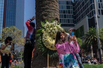 Transeúntes se toman fotografías, abrazan y se despiden de la palma en Ciudad de México, el 24 de abril de 2022.