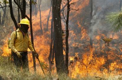 Un brigadista intenta controlar el incendio forestal en Guadalajara (México).