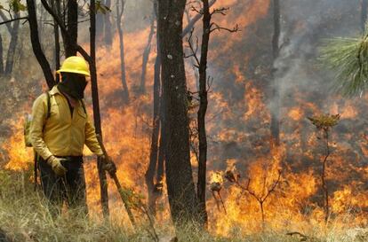 Un brigadista intenta controlar el incendio forestal en Guadalajara (M&eacute;xico).