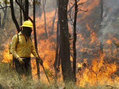 Un brigadista intenta controlar el incendio forestal en Guadalajara (M&eacute;xico).