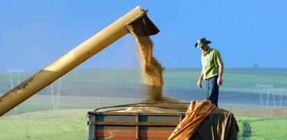 O grande impulso para o desempenho da economia no primeiro trimestre foi a agropecuária.