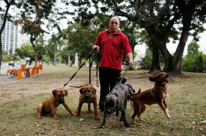 Manfred Kulitc, matemático de 49 anos, posa com seus cachorros no Rio de Janeiro. Sobre os Jogos Olímpicos, pensa: “Os Jogos Olímpicos não me importam muito, esse país não tem infraestrutura para um evento como esse. Os problemas reais da população não foram resolvidos”. Manfred também está preocupado pela segurança dos turistas.