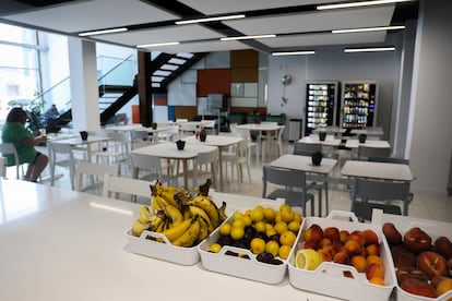 Fruta gratis en una empresa de 'call center' en Torrevieja, en 2023.