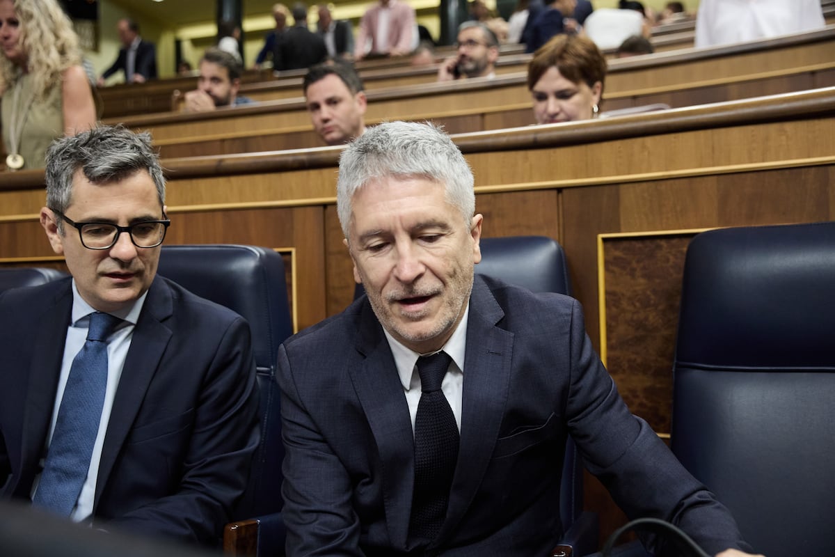 Siga la comparecencia de Fernando Grande-Marlaska en el Congreso