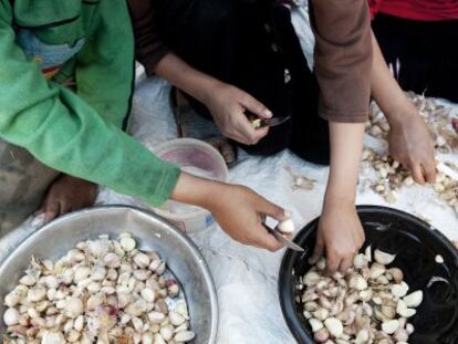 Tres ni&ntilde;os pelan ajos para venderlos a los restaurantes de la zona