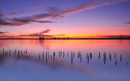 The Do&ntilde;ana national park.