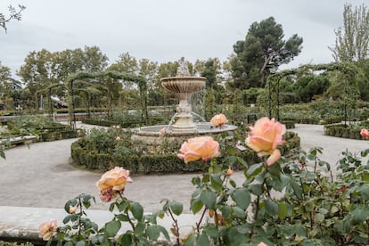 Fuente Cupido Madrid