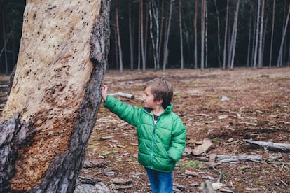 A los niños también les preocupa el cambio climático. 