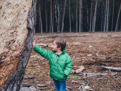 A los niños también les preocupa el cambio climático. 