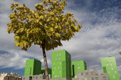 El Bulevar de la Naturaleza.