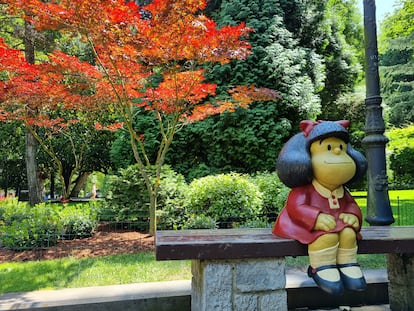 Mafalda sentada delante de un arce japonés rojo y de osmantus variegados y pitosporos enanos, en el Campo de San Francisco de Oviedo.