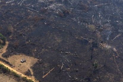 La NASA también es cautelosa. "No es inusual ver incendios en Brasil en esta época del año, debido a las altas temperaturas y a la baja humedad. El tiempo dirá si este año es un récord o simplemente está dentro de los límites normales", tranquiliza la agencia espacial estadounidense en su web. En la imagen, una casa rodeada de tierra arrasada por los incendios cerca de Porto Velho (Brasil), el 23 de agosto.