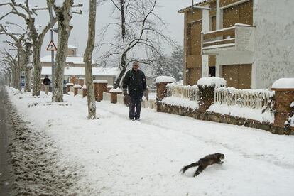 En Sant Hilari de Sacalm (Girona) se han producido esta curiosa imagen: un visión salta por la calle cubierta de nieve.