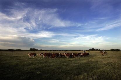 Dos granjeros conducen a sus vacas por una llanura de la provincia argentina de Entre Ríos, al noreste de Buenos Aires.