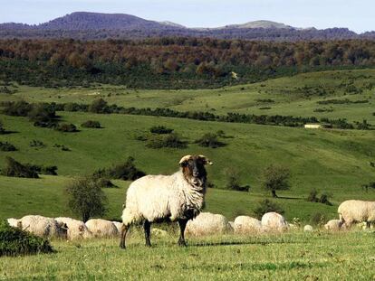 Aquí no llega Airbnb