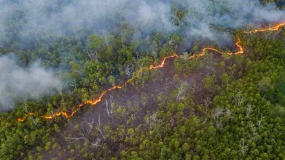 Un incendio en la Amazonia, la mayor selva tropical del mundo, que sufre una expansión del crimen organizado.