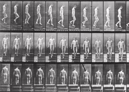 &#39;Descendiendo las escaleras&#39;, serie fotográfica de Eadweard Muybridge.