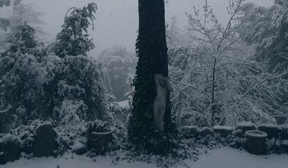 Nevada en el municipio de Viladrau, en el parque del Montseny (Barcelona).