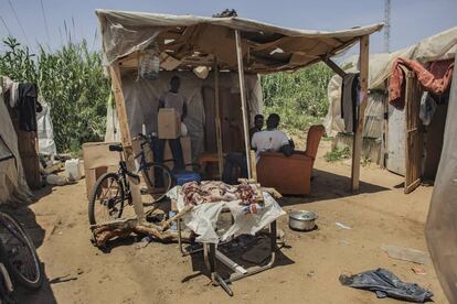 Habitantes de un asentamiento de Lepe (Huelva) preparan un cordero para el Ramadán.