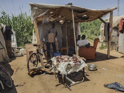Habitantes de un asentamiento de Lepe (Huelva) preparan un cordero para el Ramadán.