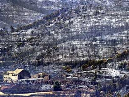 Desolado paisaje en Granera tras el incendio.