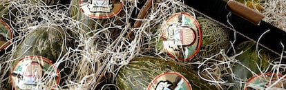 Melones embalados para su traslado en Real Cortijo de San Isidro (Madrid).