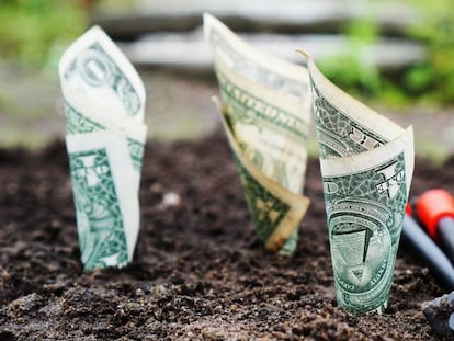 El estilo de gestión no es clave... la rentabilidad sí