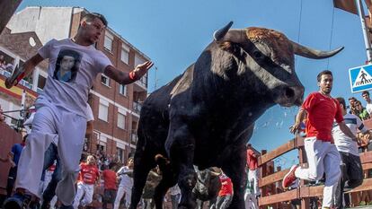 Encierros de San Sebastián de los Reyes