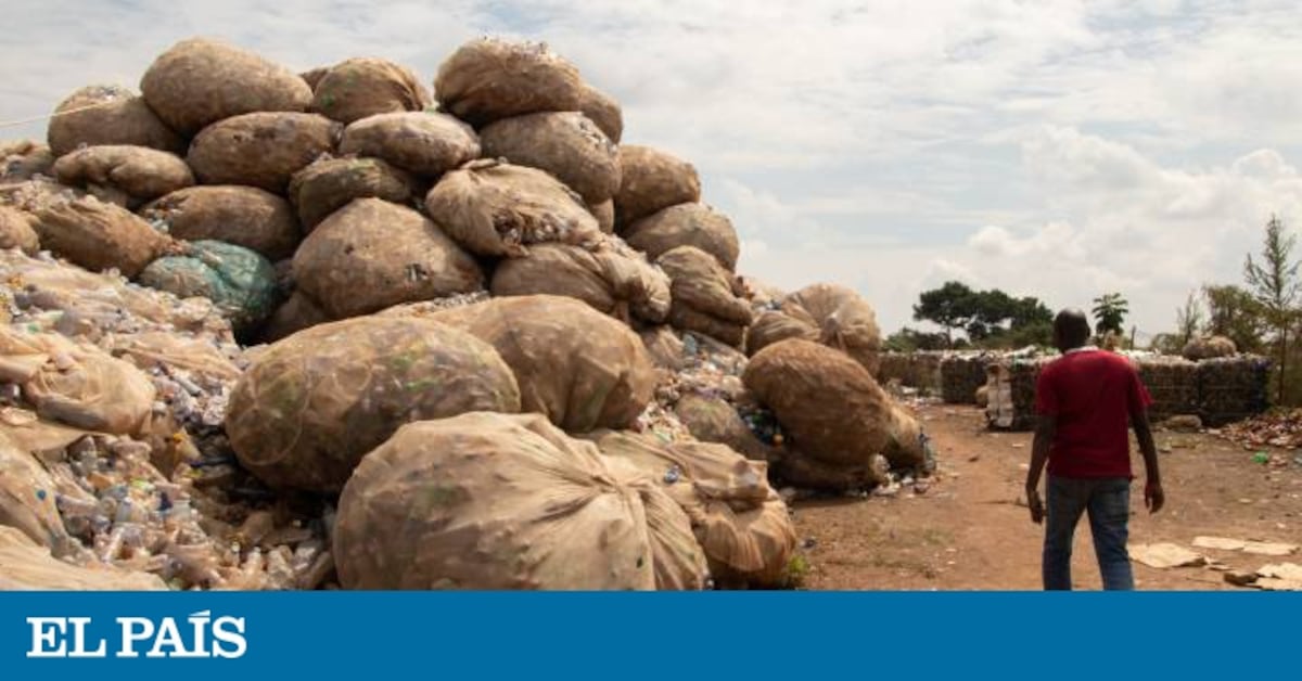 elpais.com