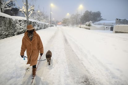 Una mujer pasea a un perro por la nieve el fin de semana pasado.