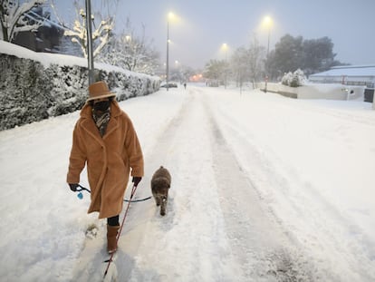 Una mujer pasea a un perro por la nieve el fin de semana pasado.