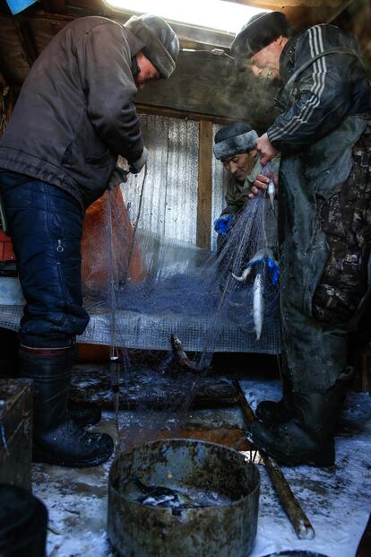 Pescadores en invierno. Baikal posee un rico ecosistema. Pero la sequía y el aumento de temperaturas amenazan a alguna de sus especies, como el ómul, un pez de la familia del salmón. 