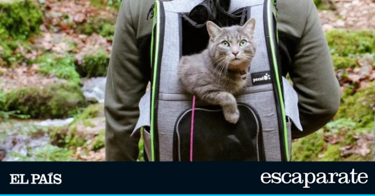 La mochila–transportín para mascotas que arrasa en Amazon: segura, ventilada y cómoda para viajar