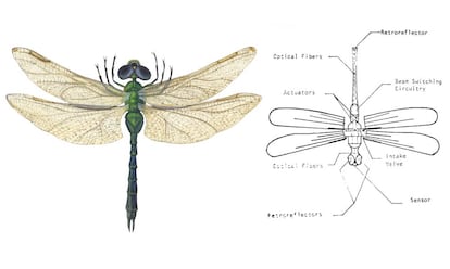 Libélula común e insectocóptero inspirado en ella