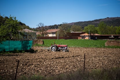 Huerta cercana a la cuenca del Órbigo. 