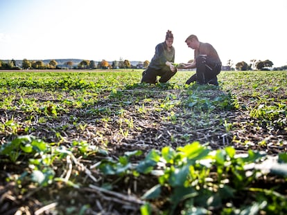 Esta práctica agrícola es una alternativa respetuosa y eficiente con los recursos naturales. En nuestro país, supone el 15% del total de la superficie cultivada, con una producción de de 11,9 millones de toneladas.