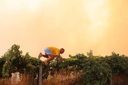 Un hombre salta una verja durante el incendio forestal de Veiga das Meas, este sábado. 