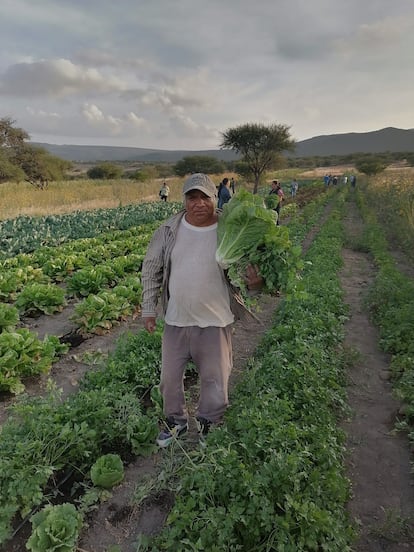 Emprendedores sustentables en San Joaquín
