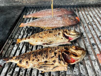 Besugos a la parrilla del asador Xixario, en Orio (Gipuzkoa).