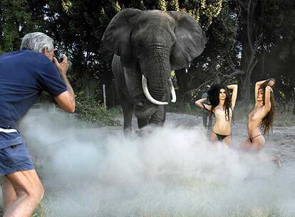 Nada de efectos especiales, que el elefante levante polvareda. Han bastado dos días para que la brasileña Isabeli Fontana y la canadiense Daria Werbowy se familirizaran con las bestias. Peter Beard lo fotografía todo.