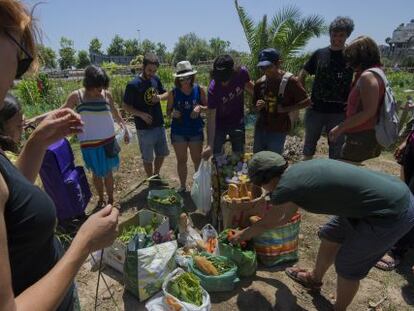 Alimentos recolectados por los miembros del colectivo La Cuina Furtiva en el barrio valenciano de Benimaclet.