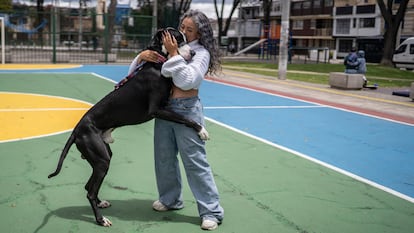 reportaje sobre mascotas en colombia