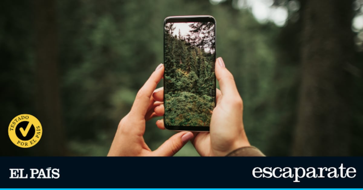 Mid-Year’s Best Mid-Range Mobiles: My Favorite Showcase