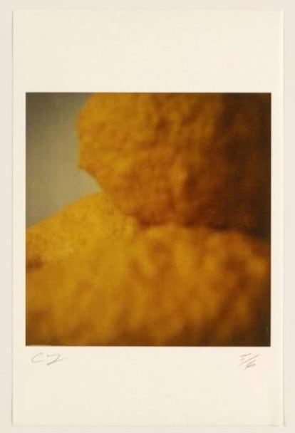 Lemons, (Gaeta), 2005