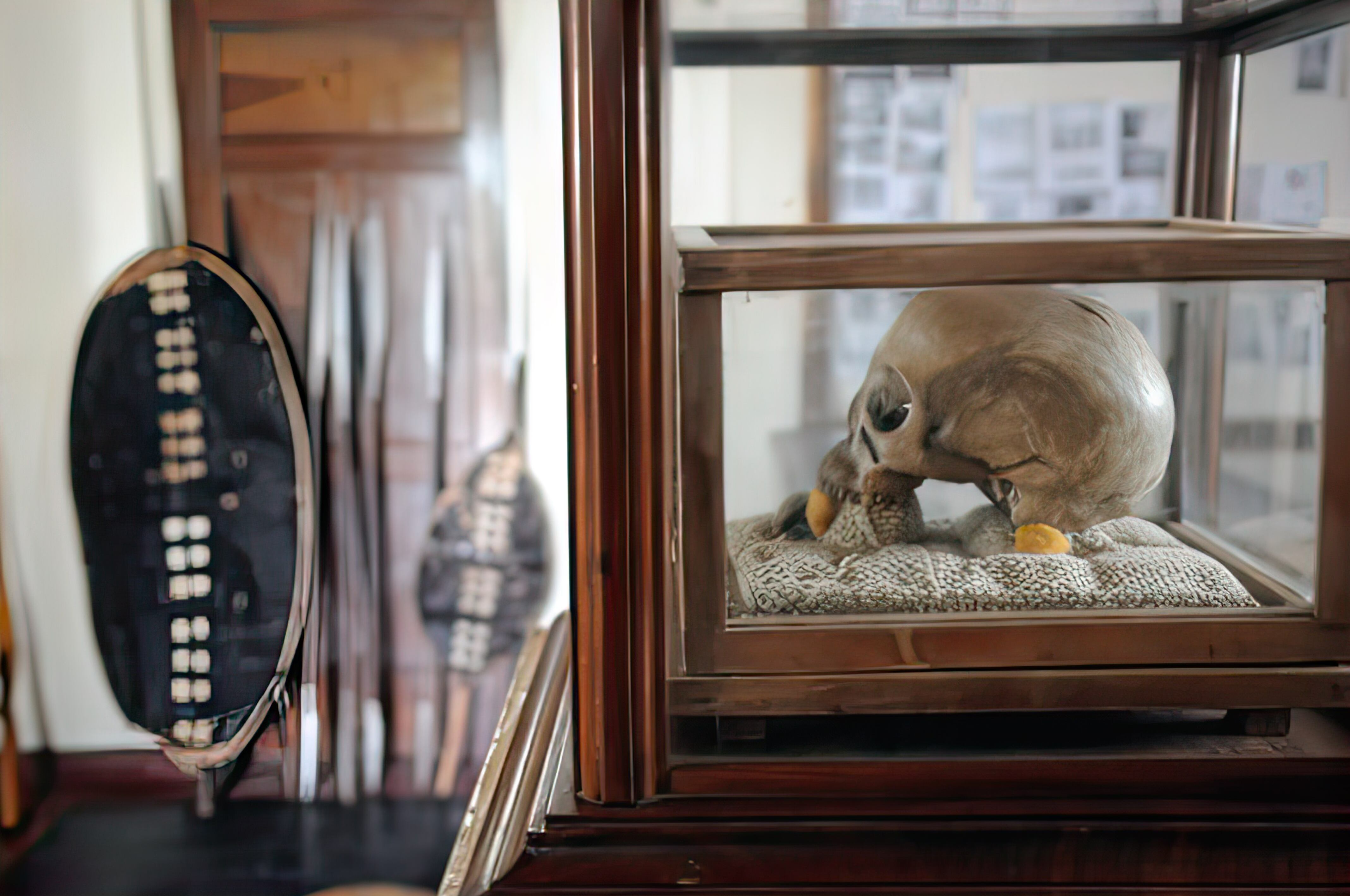 La calavera del líder tanzano Mkwawa, devuelta en 1954 por Alemania.