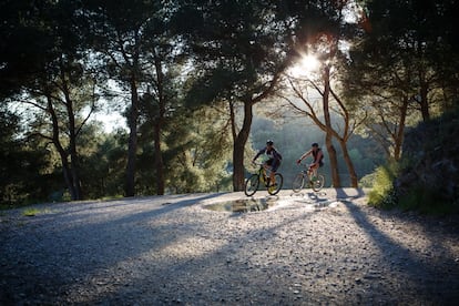 Per sortir del tragí de Barcelona sense apartar-se gaire de la ciutat, es pot pujar a <a href="https://www.parcnaturalcollserola.cat/ " target="">aquesta serra que protegeix la ciutat i que representa el seu principal pulmó verd</a>. És un veritable tresor natural per gaudir de la natura, fer senderisme, practicar el ciclisme o fins i tot muntar a cavall. Amb més de 8.000 hectàrees de superfície, està considerat un dels parcs metropolitans més extensos d'Espanya. Dins dels seus límits hi ha dues reserves naturals: la Font Groga i la Rierada-Can Balasc. <br><br> Es pot anar en el funicular al parc d'atraccions del Tibidabo, des d'on hi ha vistes fabuloses de tota la ciutat, o anar a l'altre costat de la muntanya per caminar pels seus nombrosos senders. Per gaudir de les millors vistes, hi ha miradors a cada costat: des de Torre Baró, a Nou Barris, que contempla el Montseny, i des del serral de Finestrelles, a les Corts, que abasta una panoràmica de la ciutat fins al Maresme.