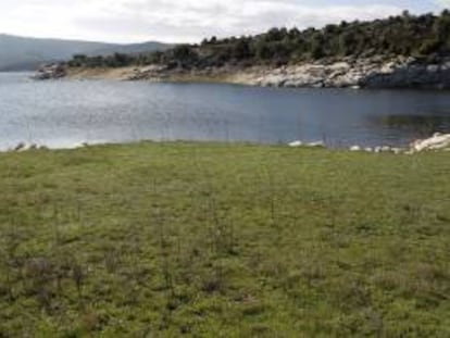 En cuanto a la mayor cantidad de lluvias, la problemática es que se desarrollen más hongos que destruyen las plantas y perjudican la productividad. EFE/Archivo