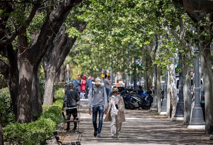Ciudadanos pasean por los jardines de la avenida de Blasco Ibáñez, de Valencia. 