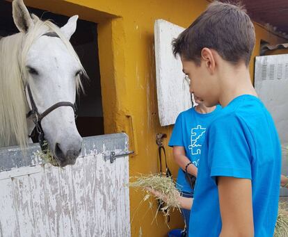 Niños durante una jornada de equinoterapia en Madrid, en la que participaron 23 voluntarios.