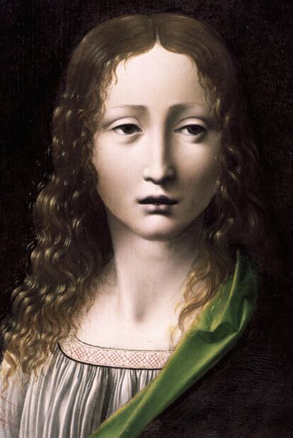 El Salvador adolescente has been successively attributed to Leonardo, his circle and pupil Giovanni  Boltraffio.